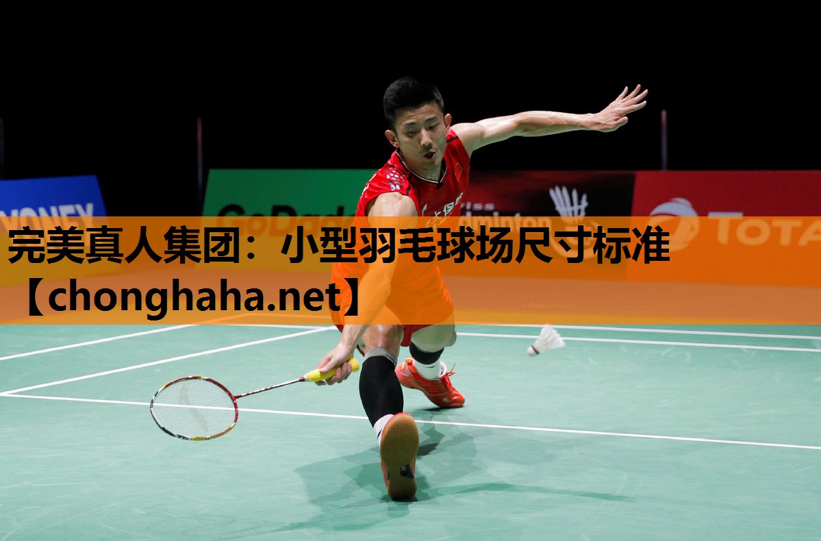 小型羽毛球场尺寸标准 小型羽毛球场尺寸标准