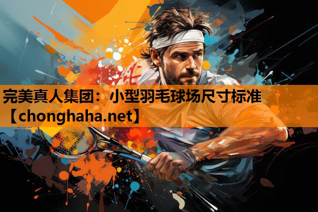小型羽毛球场尺寸标准 小型羽毛球场尺寸标准
