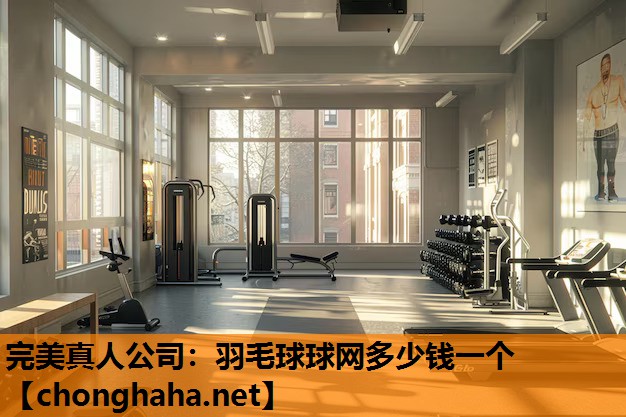 羽毛球球网多少钱一个 羽毛球球网多少钱一个