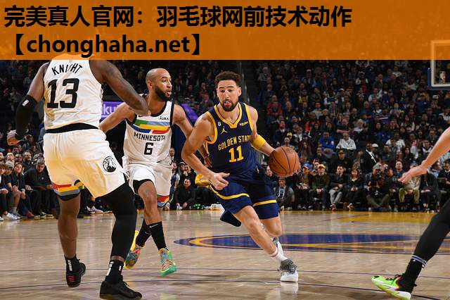羽毛球网前技术动作 羽毛球网前技术动作