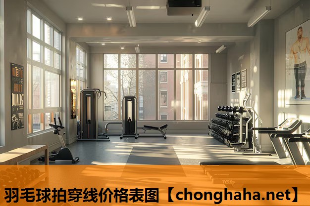 羽毛球拍穿线价格表图