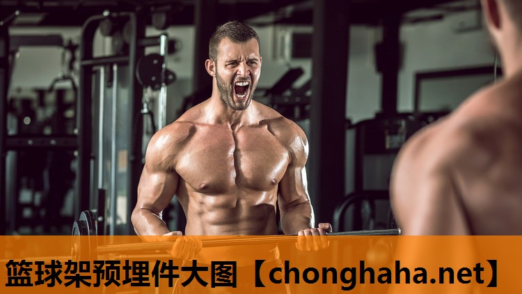 篮球架预埋件大图 篮球架预埋件大图