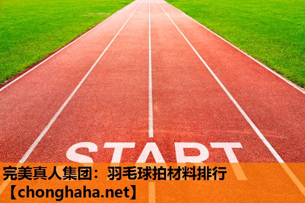 羽毛球拍材料排行 羽毛球拍材料排行